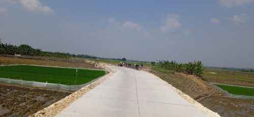 Jalan desa